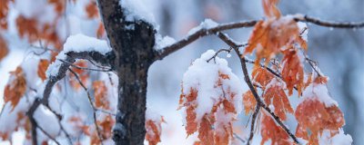 ​立冬是每年的几月几日